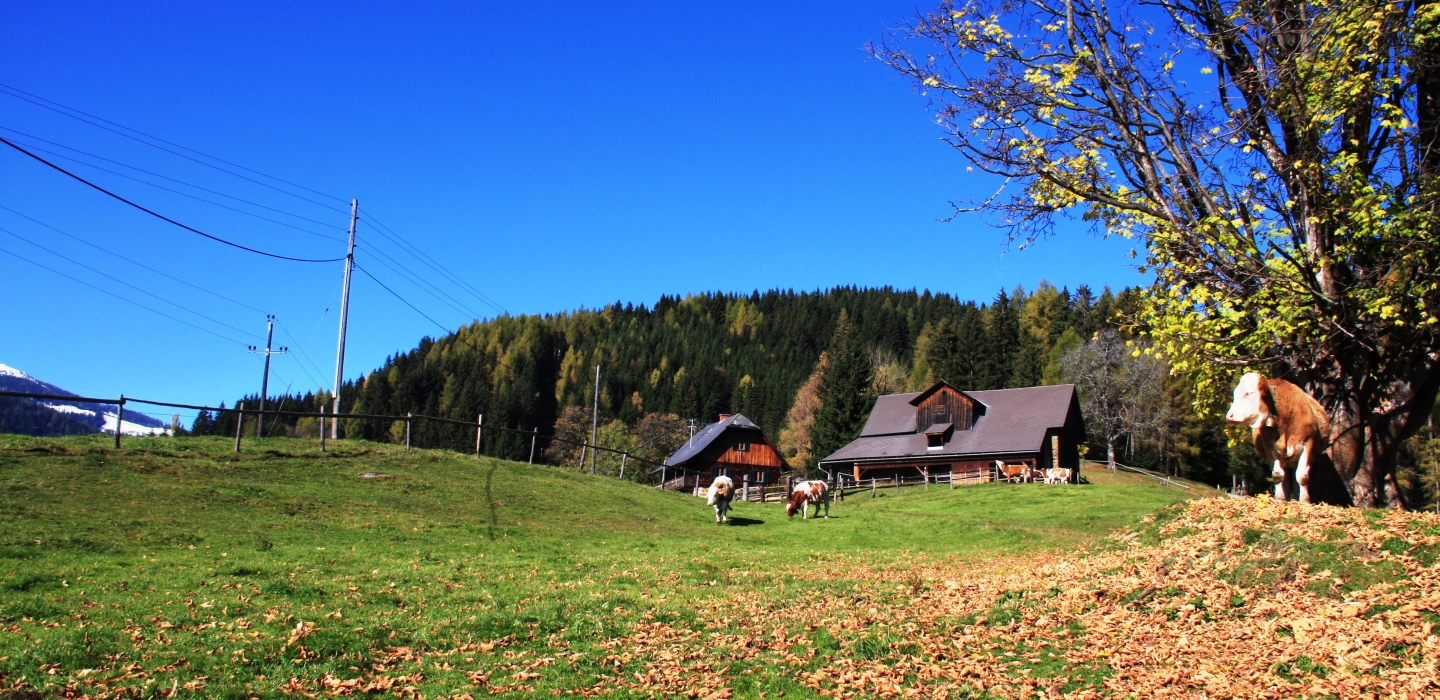 Kopphütte