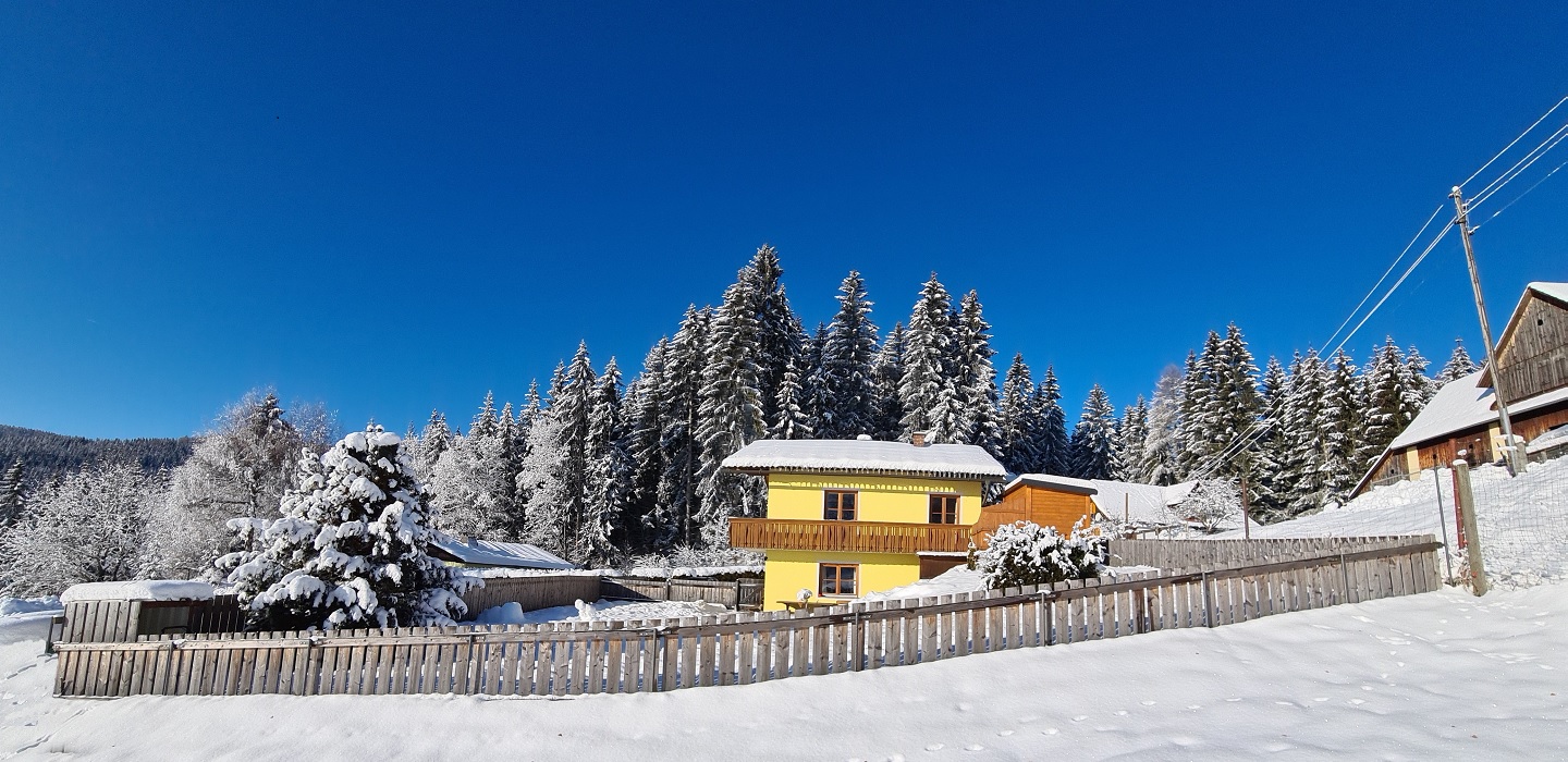 Ferienhaus Schönhart